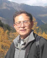 ������ʽ�