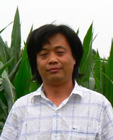 ������ҫΰ