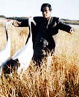 ���ҵ�����