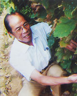 �����߲���