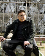 ������ΰ