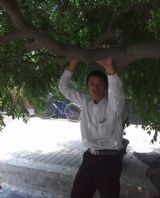 �������ӳ�