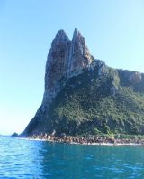 ְҵ����������