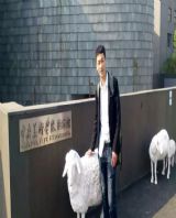 �����鷨����ѩ