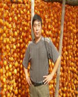 �����ڱ���