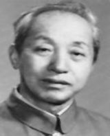 �����ƹ���