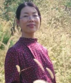 ������Ƭ