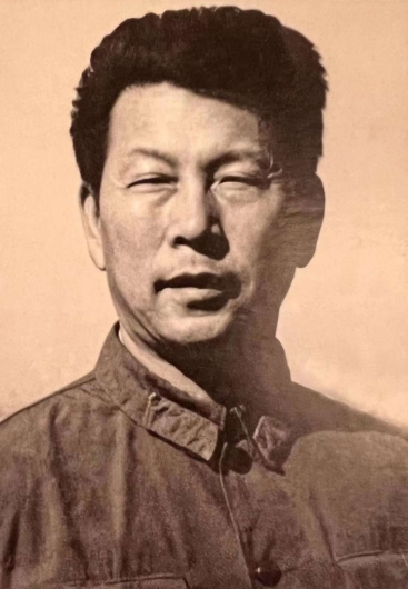 ������Ƭ