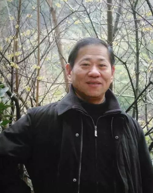 ��������Ƭ