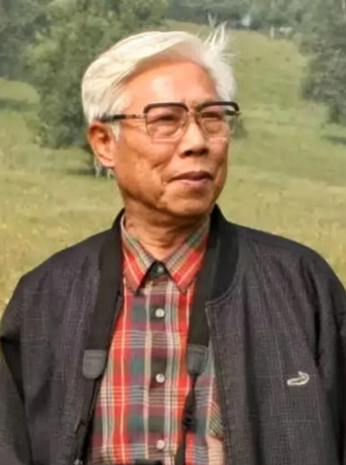 ��������Ƭ