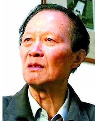 ��������Ƭ