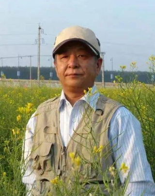 ��������Ƭ