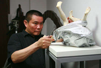 ��������Ƭ