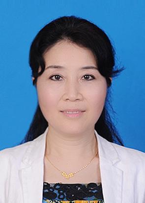 ��������Ƭ