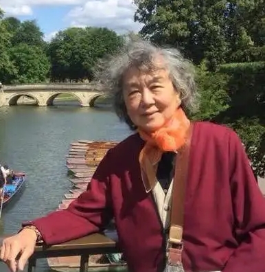 ��������Ƭ