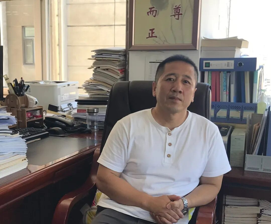 ������Ƭ