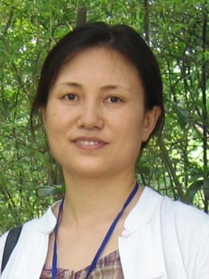 ����ϼ��Ƭ