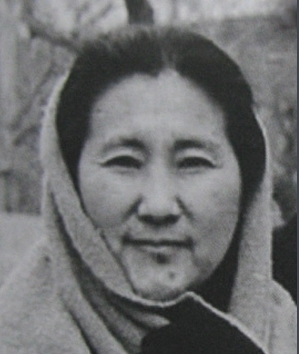 Ȩ������Ƭ