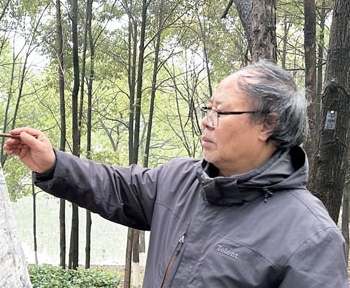 ��С����Ƭ