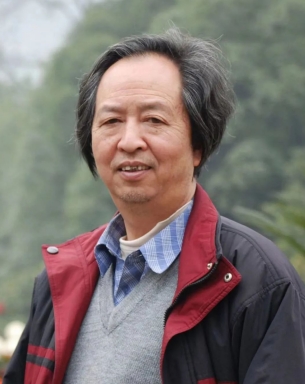 ������Ƭ