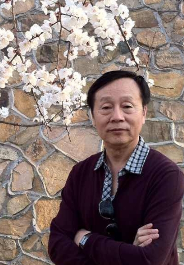 ��������Ƭ