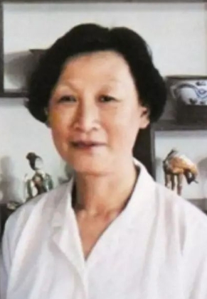 ��������Ƭ