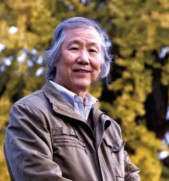 ��������Ƭ