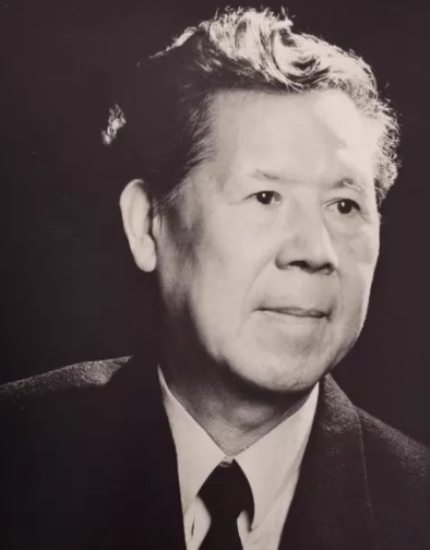 ������Ƭ