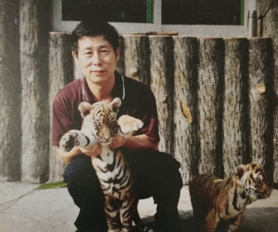 ���ӷ���Ƭ