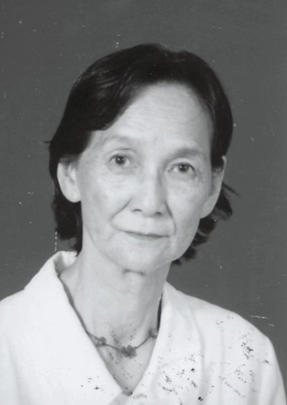 ��������Ƭ