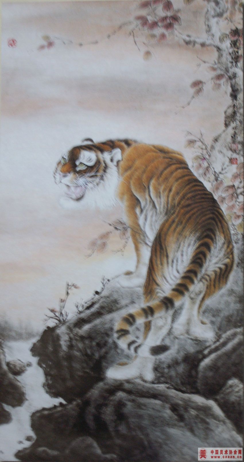 ����̩��Ʒ