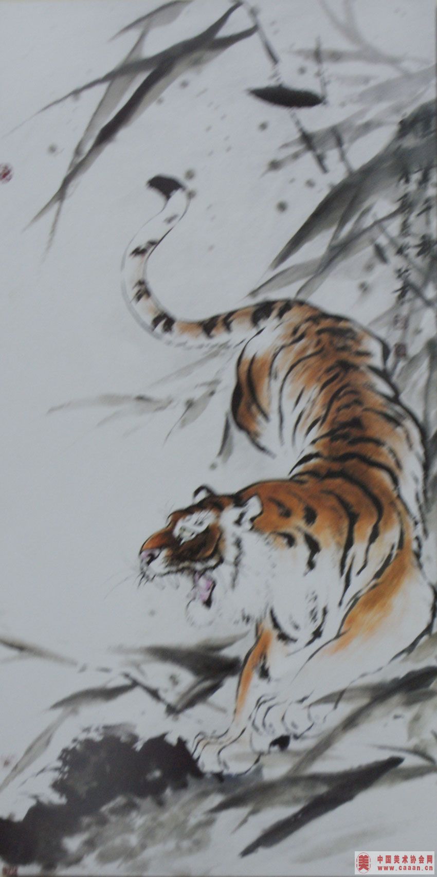 ����̩��Ʒ