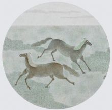 ���ɵ���Ʒ