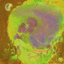 ��������----ϵ��13