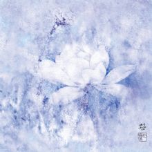 ����----ϵ��4