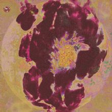 �û�---ϵ��5