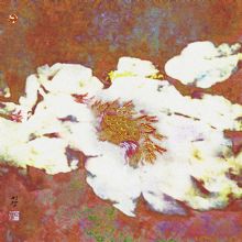 ����--�����Ҳ�