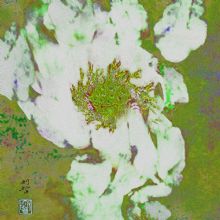 ����---ϵ��2