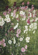 ����ͥ��Ʒ