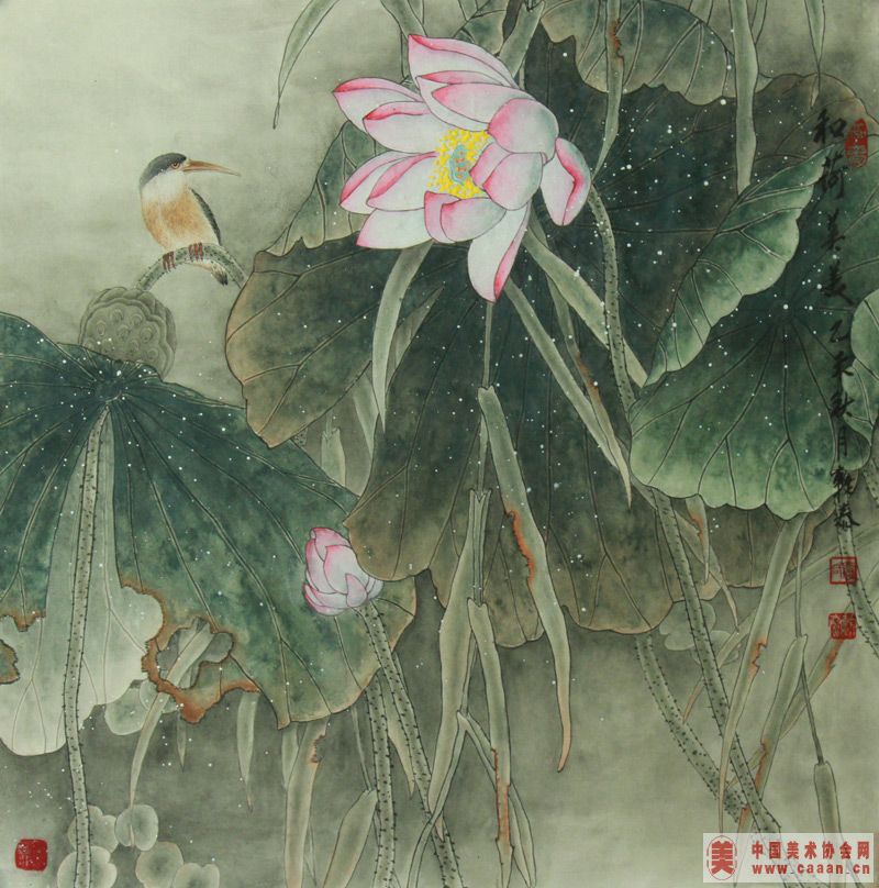 �ͺ�����