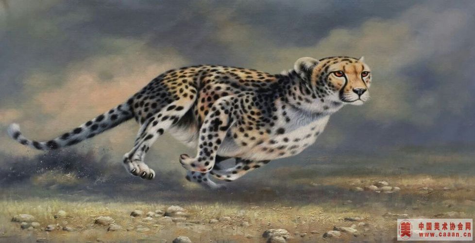 ������Ʒ