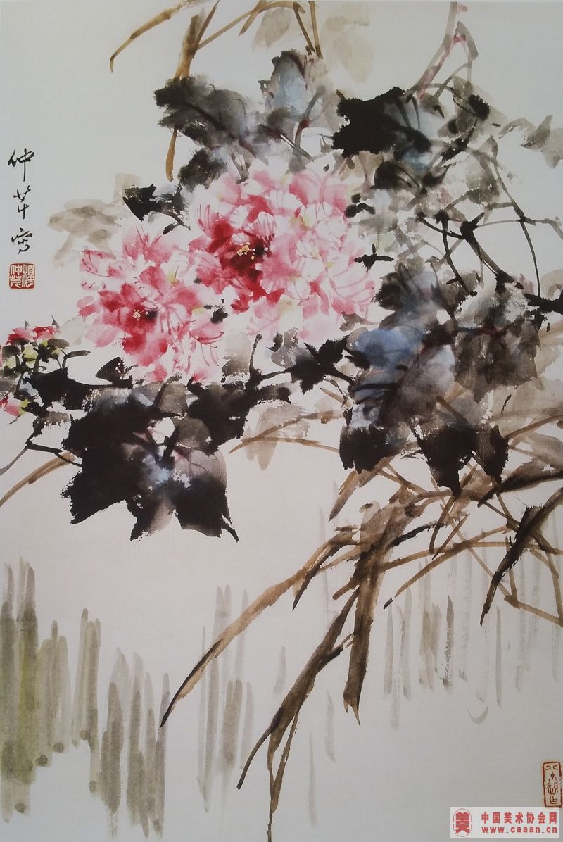 ��������Ʒ