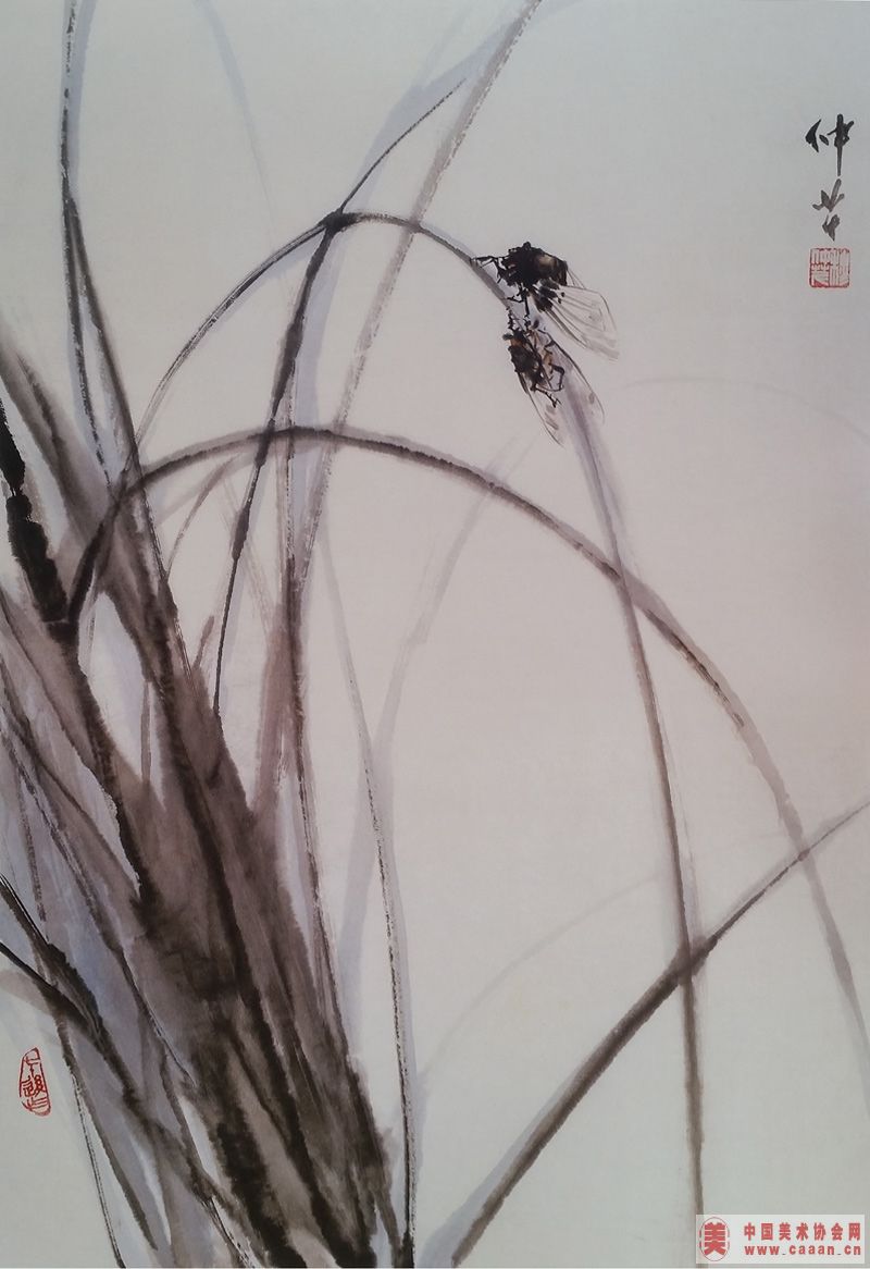 ��������Ʒ