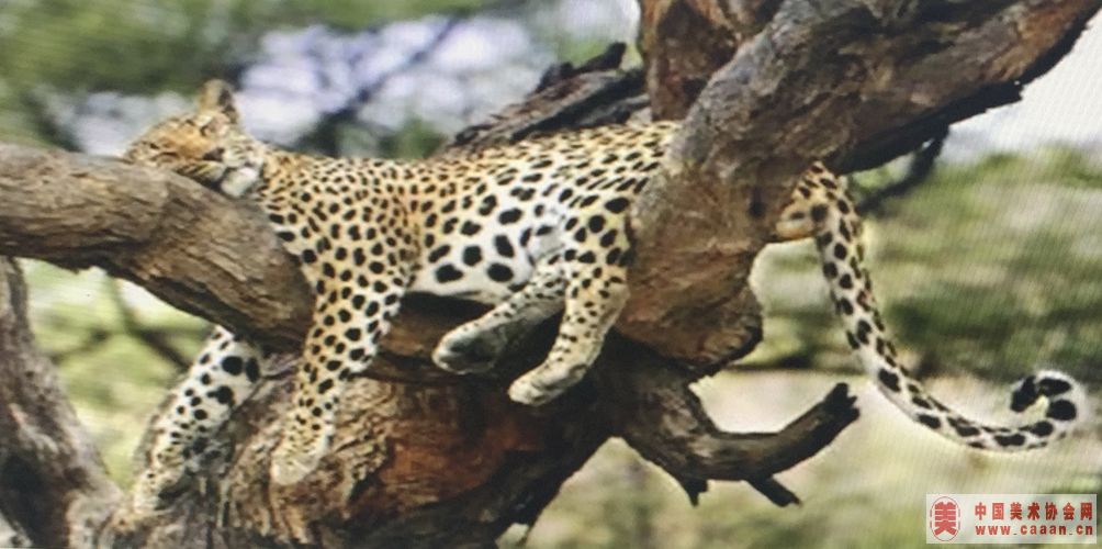 ������Ʒ