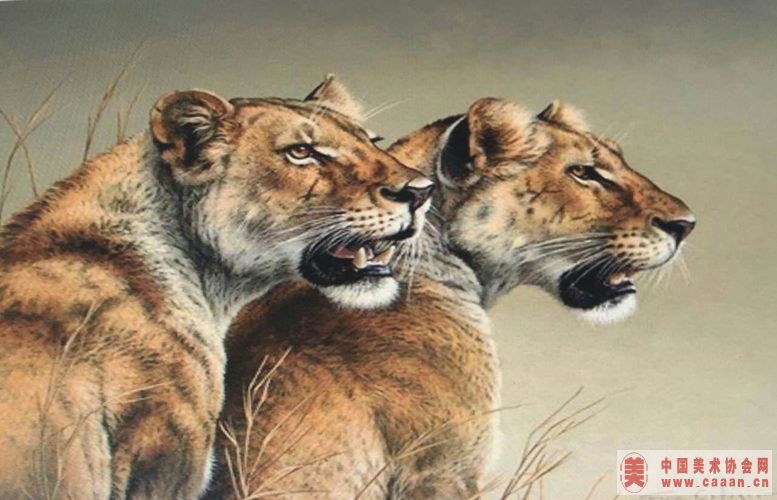 ������Ʒ