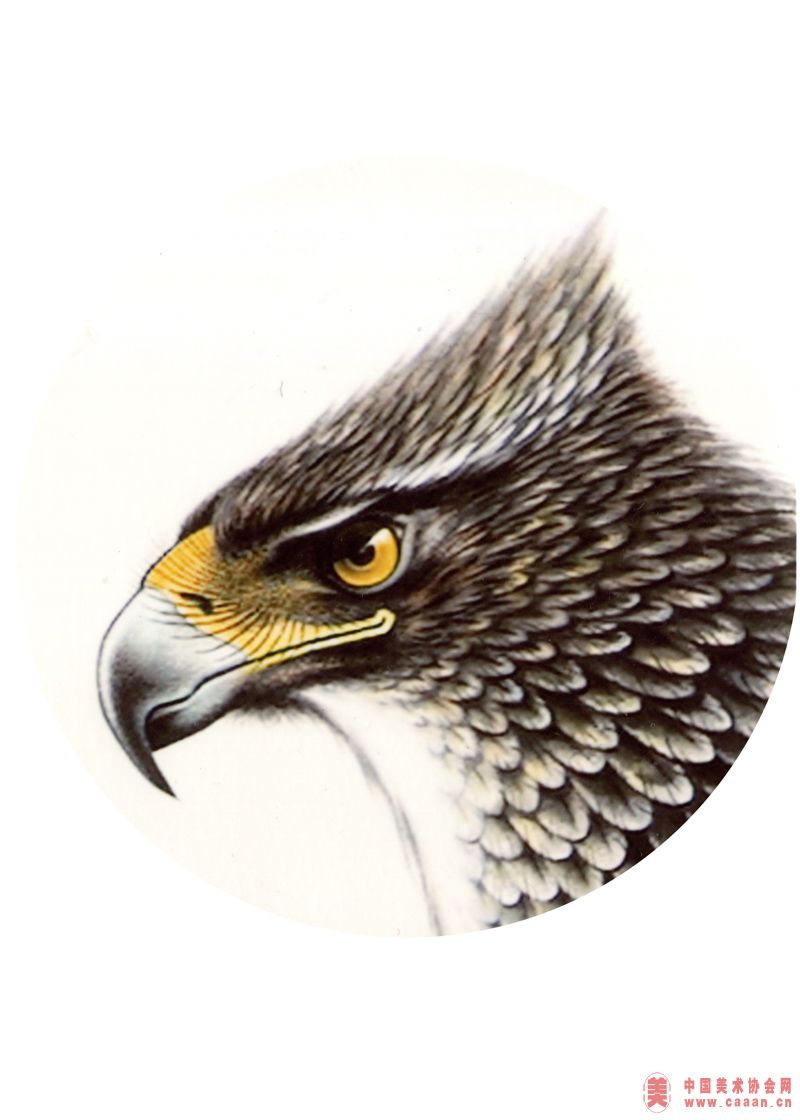 �Ŷ�����Ʒ