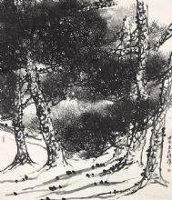 ����ɡ�����