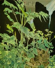 ���ϲ����īȻ����Ʒ