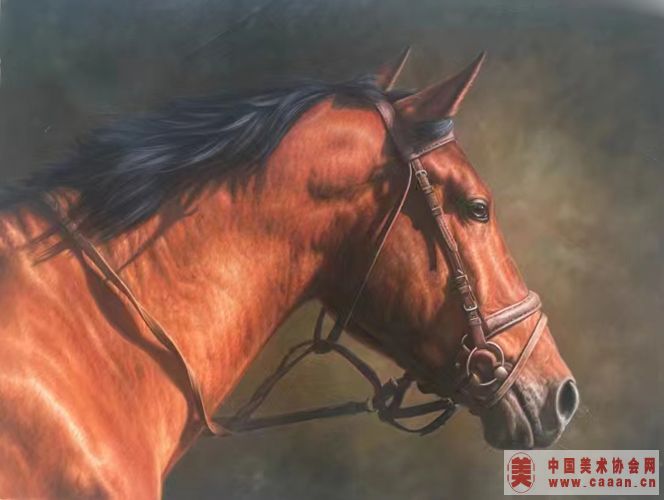 ������Ʒ