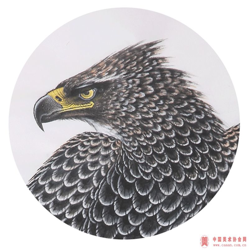 �Ŷ�����Ʒ